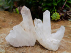 Natural Small Clear Quartz Clusters x 24 From Madagascar