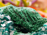 Natural Dioptase On Dolomite Specimen x 1 From Likasi, Congo