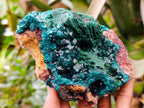 Natural Dioptase On Dolomite Specimen x 1 From Likasi, Congo - Toprock Gemstones and Minerals 