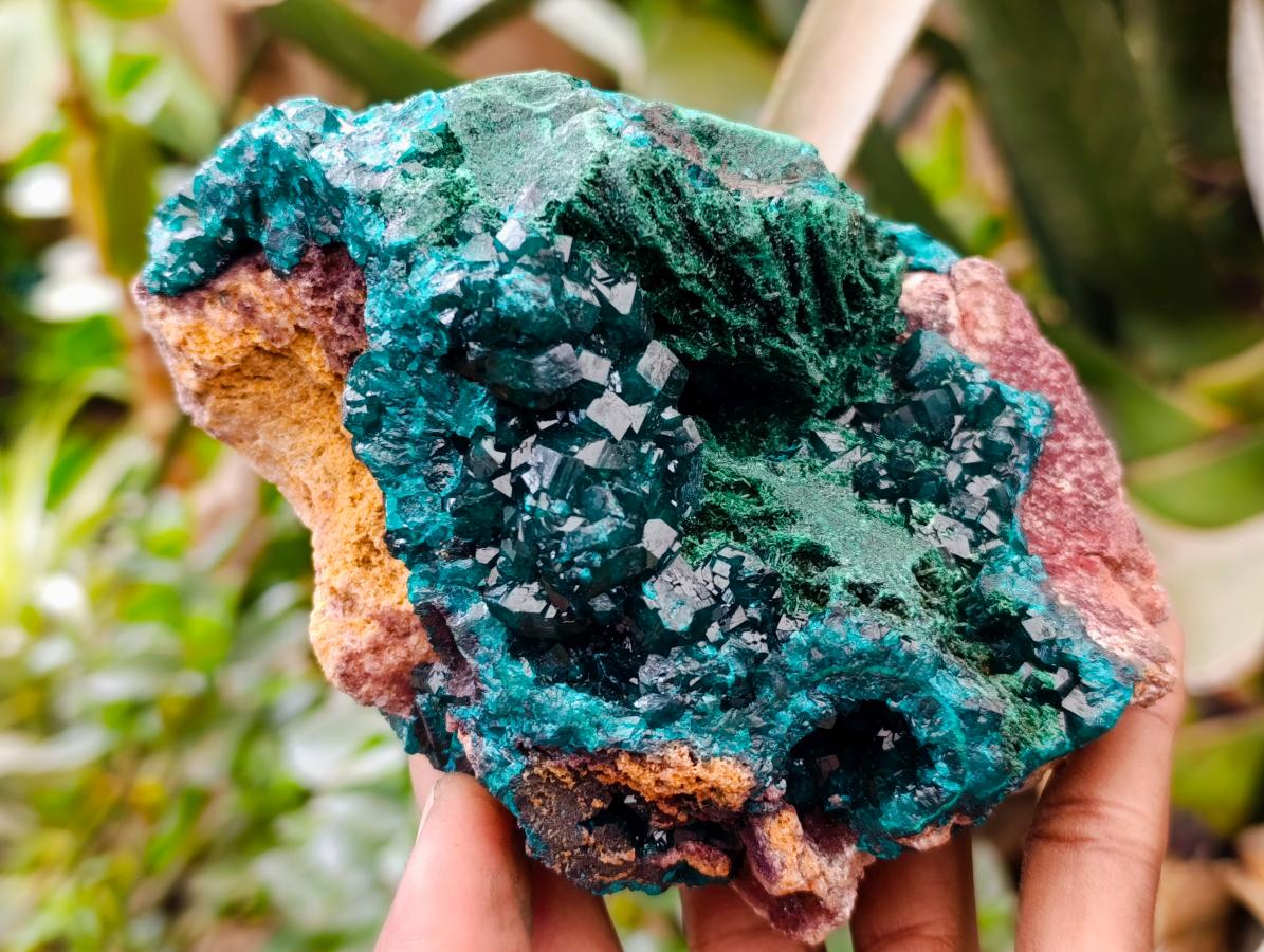 Natural Dioptase On Dolomite Specimen x 1 From Likasi, Congo