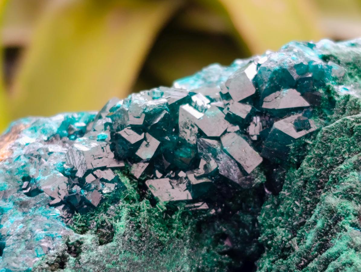 Natural Dioptase On Dolomite Specimen x 1 From Likasi, Congo