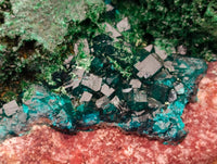 Natural Dioptase On Dolomite Specimen x 1 From Likasi, Congo