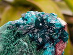 Natural Dioptase On Dolomite Specimen x 1 From Likasi, Congo - Toprock Gemstones and Minerals 
