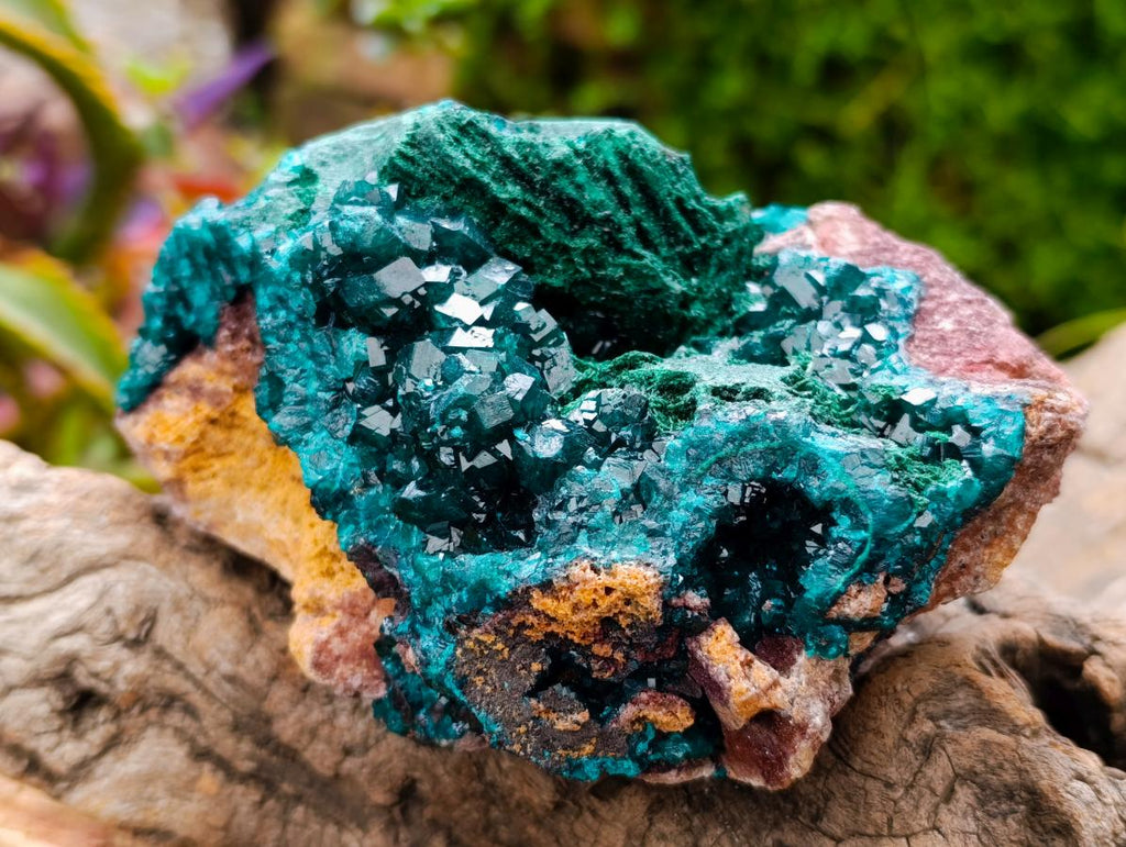 Natural Dioptase On Dolomite Specimen x 1 From Likasi, Congo - Toprock Gemstones and Minerals 