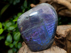 Polished Rare Purple Sunset Flash Labradorite Standing Free Forms x 6 From Tulear, Madagascar
