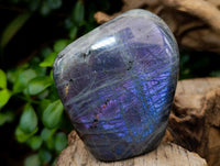 Polished Rare Purple Sunset Flash Labradorite Standing Free Forms x 6 From Tulear, Madagascar