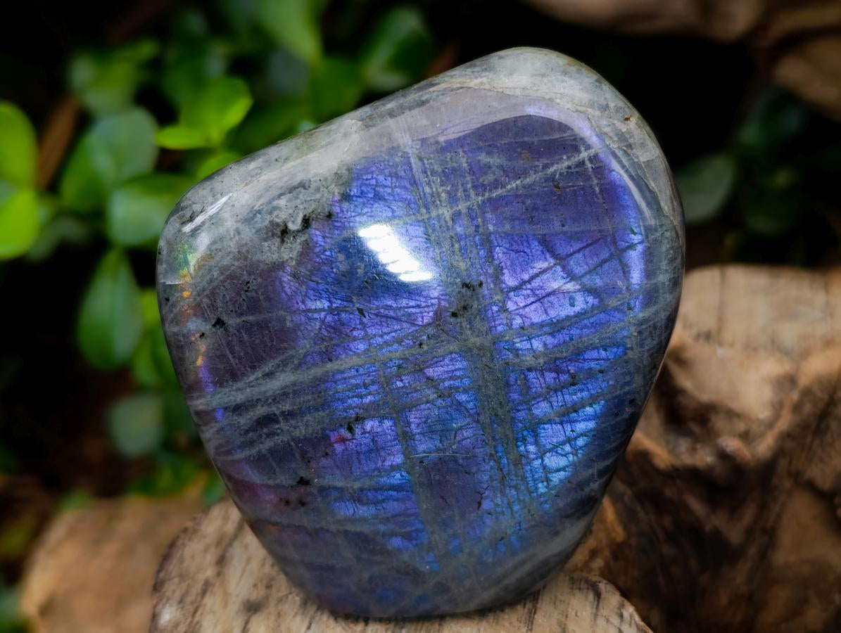 Polished Rare Purple Sunset Flash Labradorite Standing Free Forms x 6 From Tulear, Madagascar