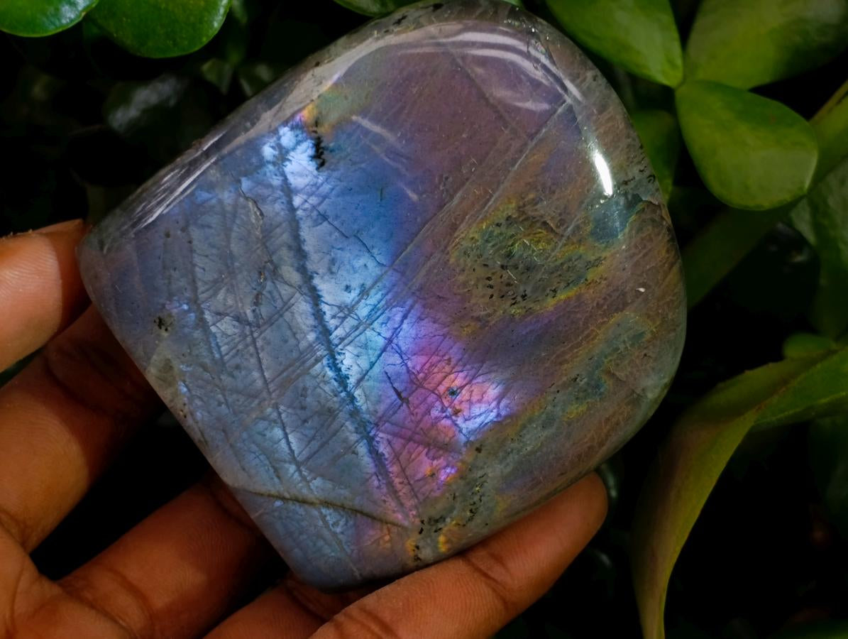 Polished Rare Purple Sunset Flash Labradorite Standing Free Forms x 6 From Tulear, Madagascar