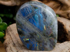 Polished Rare Purple Sunset Flash Labradorite Standing Free Forms x 6 From Tulear, Madagascar