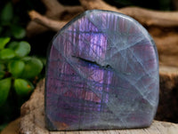 Polished Rare Purple Sunset Flash Labradorite Standing Free Forms x 6 From Tulear, Madagascar