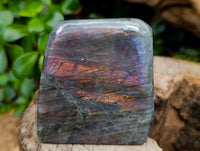Polished Rare Purple Sunset Flash Labradorite Standing Free Forms x 6 From Tulear, Madagascar