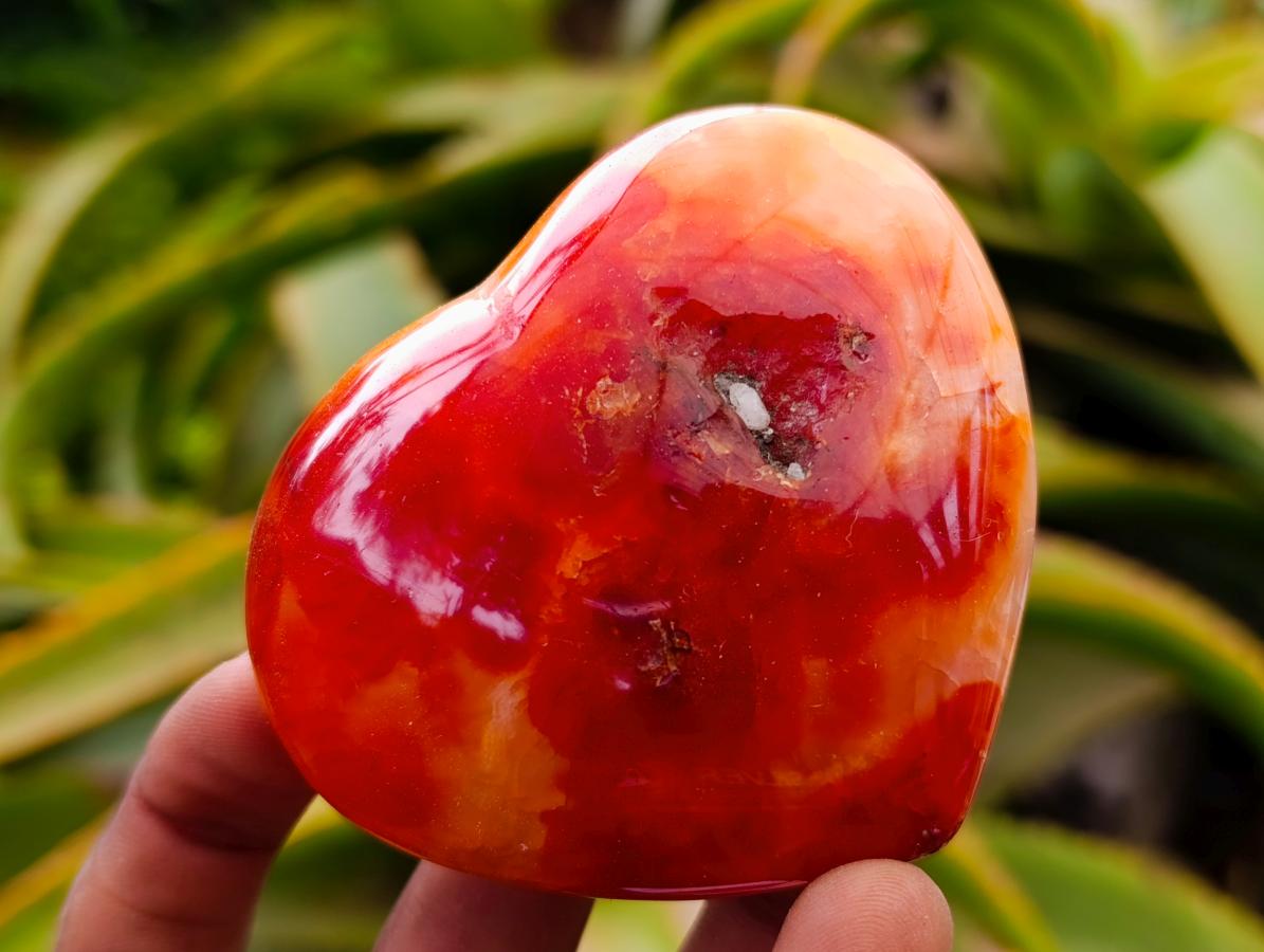 Polished Carnelian Agate Gemstone Hearts x 6 From Madagascar