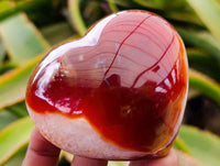 Polished Carnelian Agate Gemstone Hearts x 6 From Madagascar