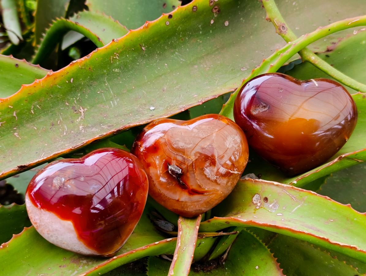 Polished Carnelian Agate Gemstone Hearts x 6 From Madagascar