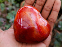 Polished Carnelian Agate Gemstone Hearts x 6 From Madagascar