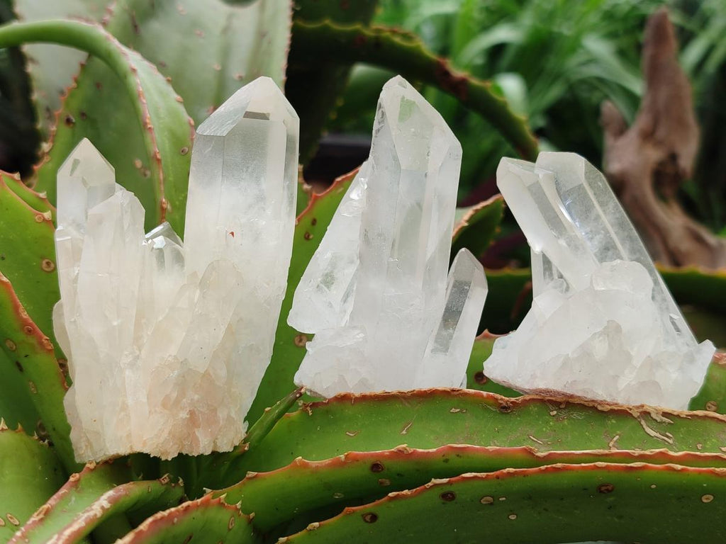 Natural Small Clear Quartz Clusters x 12 From Madagascar