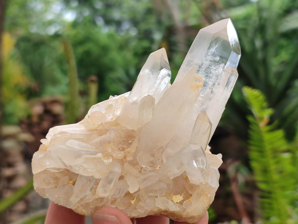 Natural Small Clear Quartz Clusters x 12 From Madagascar