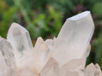 Natural Small Clear Quartz Clusters x 12 From Madagascar