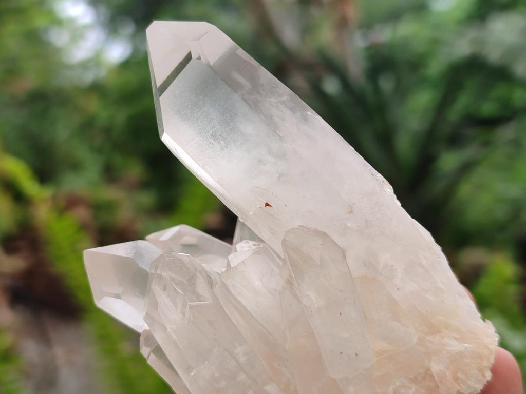 Natural Small Clear Quartz Clusters x 12 From Madagascar