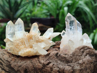 Natural Small Clear Quartz Clusters x 12 From Madagascar
