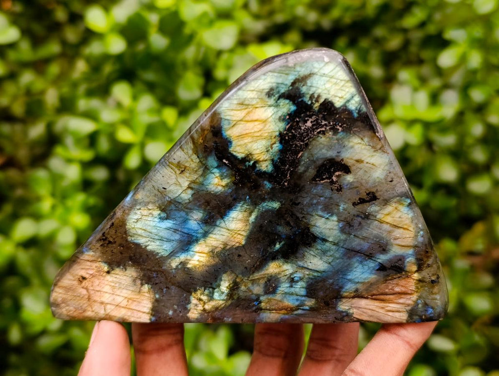 Polished Labradorite Standing Free Forms x 2 From Tulear, Madagascar