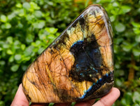 Polished Labradorite Standing Free Forms x 2 From Tulear, Madagascar