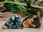 Polished Labradorite Standing Free Forms x 2 From Tulear, Madagascar