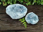 Natural Blue Celestite Specimens x 2 From Sakoany, Madagascar - Toprock Gemstones and Minerals 