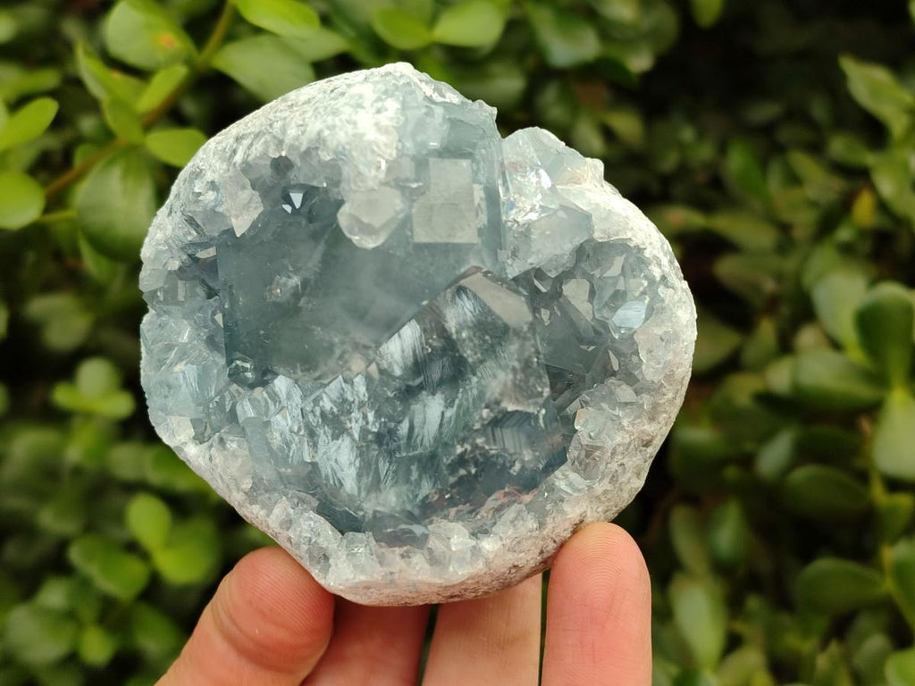Natural Blue Celestite Specimens x 2 From Sakoany, Madagascar - Toprock Gemstones and Minerals 