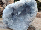 Natural Blue Celestite Specimens x 2 From Sakoany, Madagascar - Toprock Gemstones and Minerals 