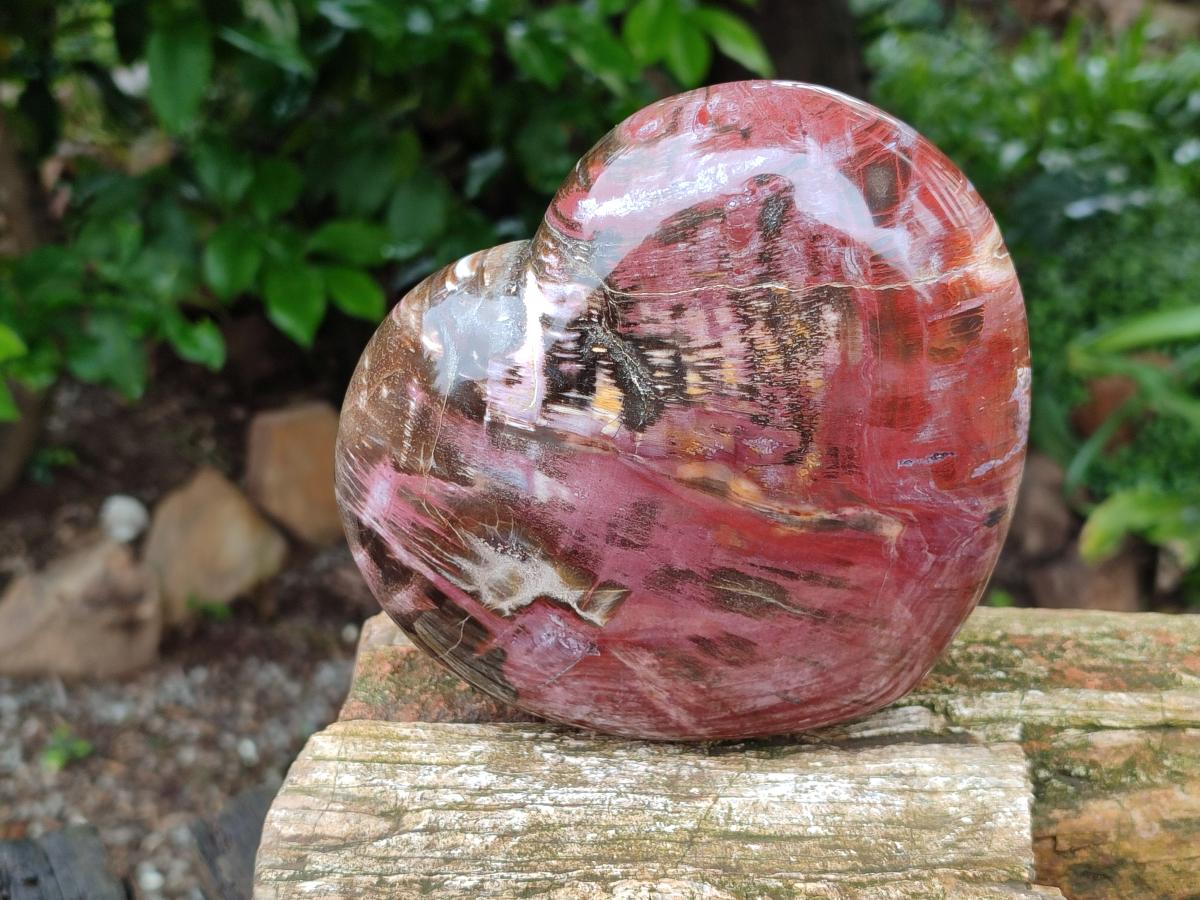Polished Red Podocarpus Petrified Wood Hearts x 2 From Mahajanga, Madagascar