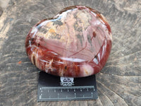 Polished Red Podocarpus Petrified Wood Hearts x 2 From Mahajanga, Madagascar