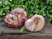 Polished Red Podocarpus Petrified Wood Hearts x 2 From Mahajanga, Madagascar