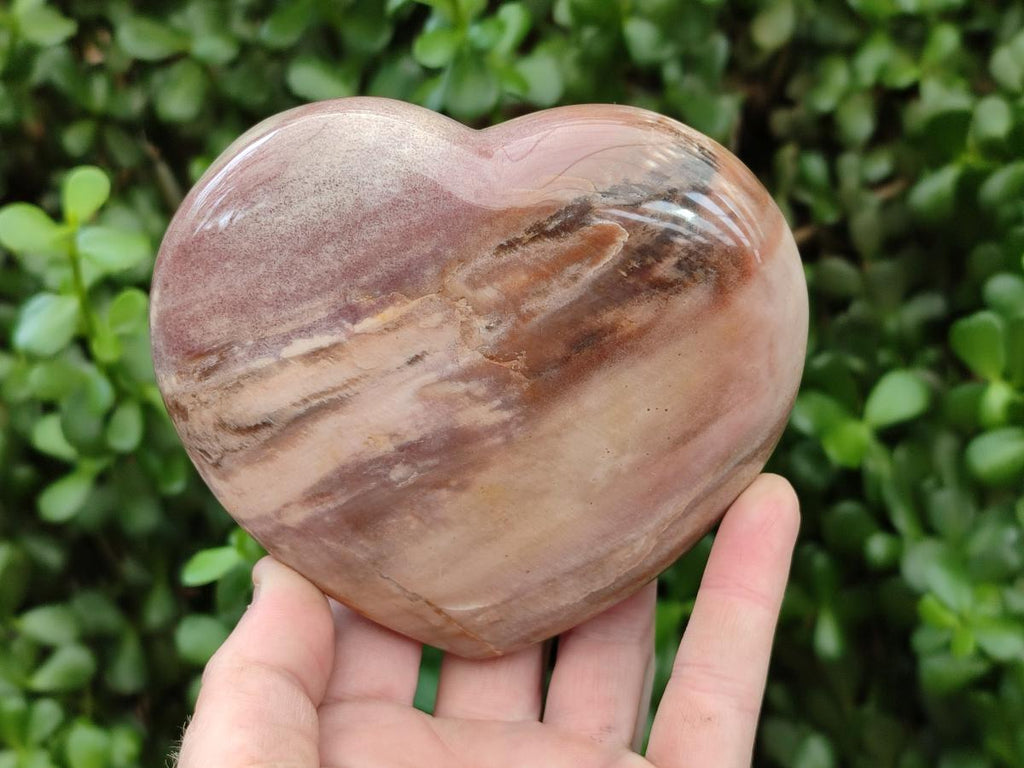 Polished Red Podocarpus Petrified Wood Hearts x 2 From Mahajanga, Madagascar - Toprock Gemstones and Minerals 