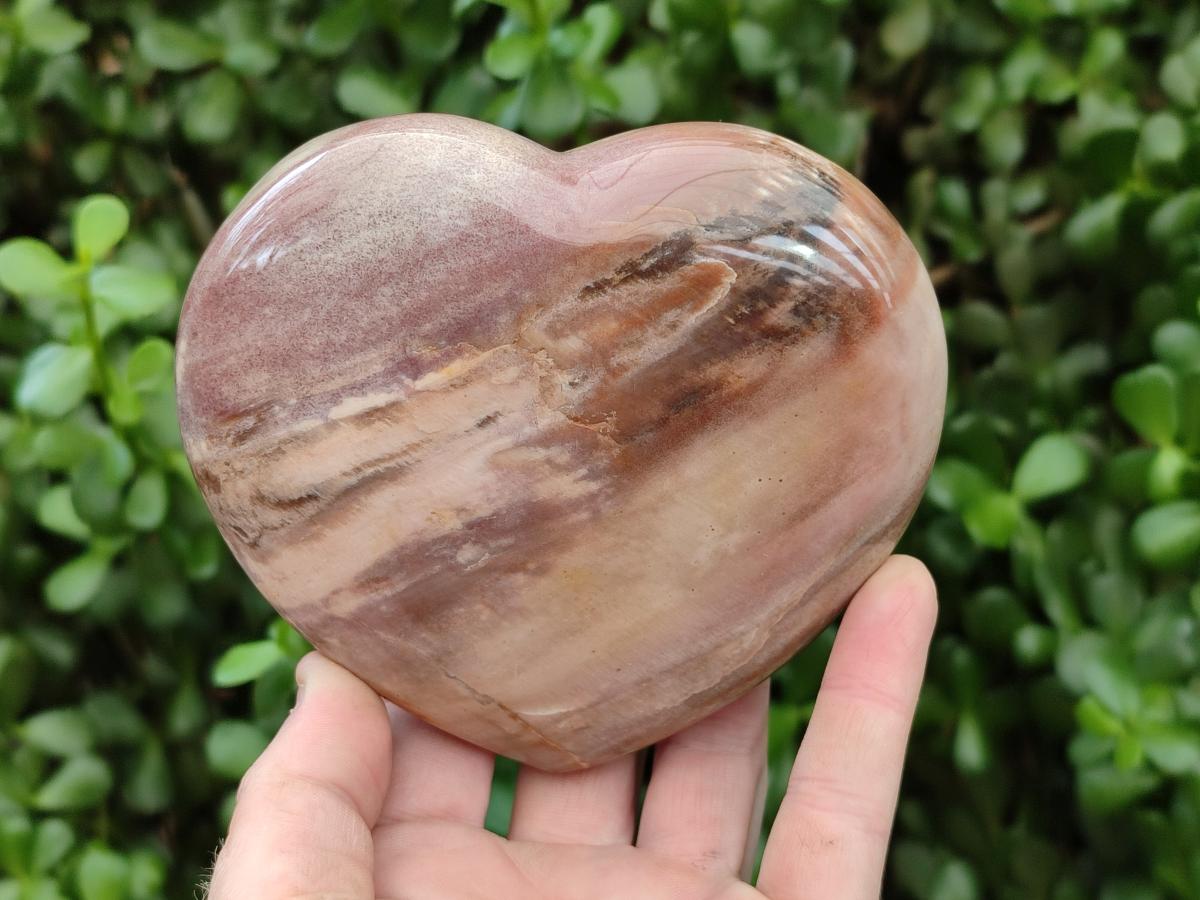 Polished Red Podocarpus Petrified Wood Hearts x 2 From Mahajanga, Madagascar