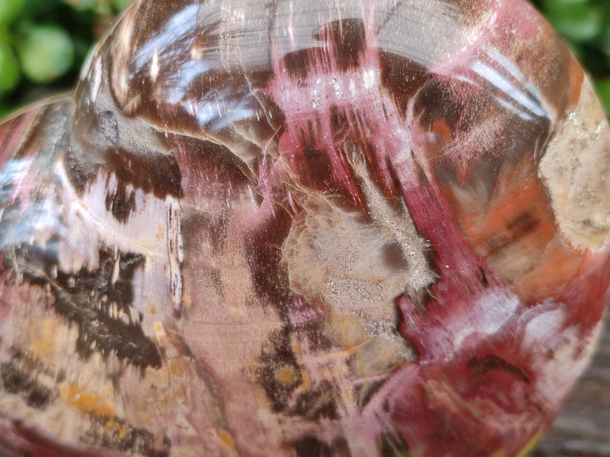 Polished Red Podocarpus Petrified Wood Hearts x 2 From Mahajanga, Madagascar