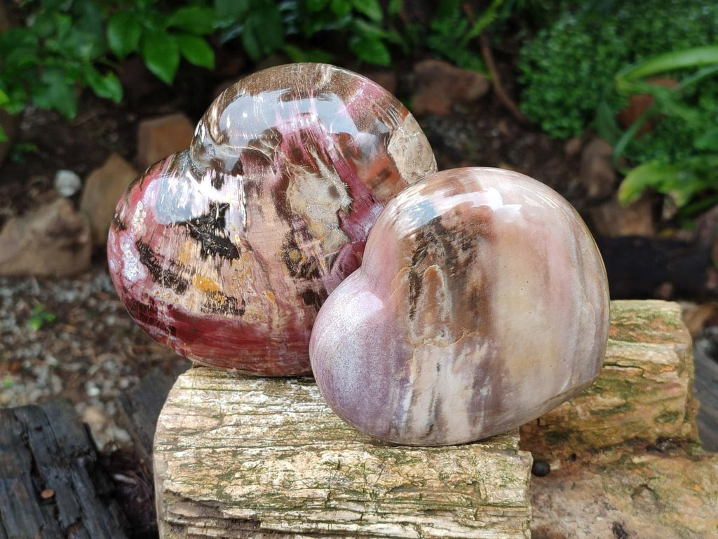 Polished Red Podocarpus Petrified Wood Hearts x 2 From Mahajanga, Madagascar - Toprock Gemstones and Minerals 