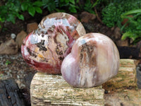 Polished Red Podocarpus Petrified Wood Hearts x 2 From Mahajanga, Madagascar