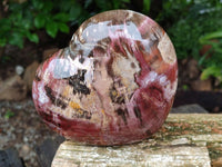 Polished Red Podocarpus Petrified Wood Hearts x 2 From Mahajanga, Madagascar