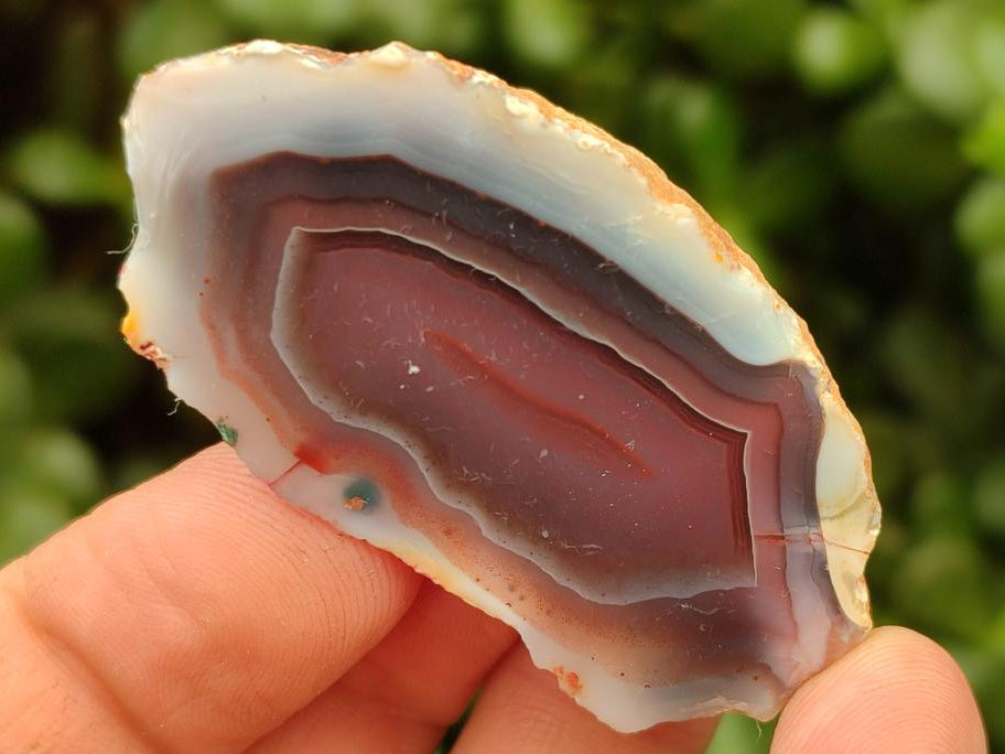 Polished On One Side Red Shashe River Agate Nodules x 48 From Shashe River, Zimbabwe