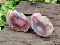Polished On One Side Red Shashe River Agate Nodules x 48 From Shashe River, Zimbabwe