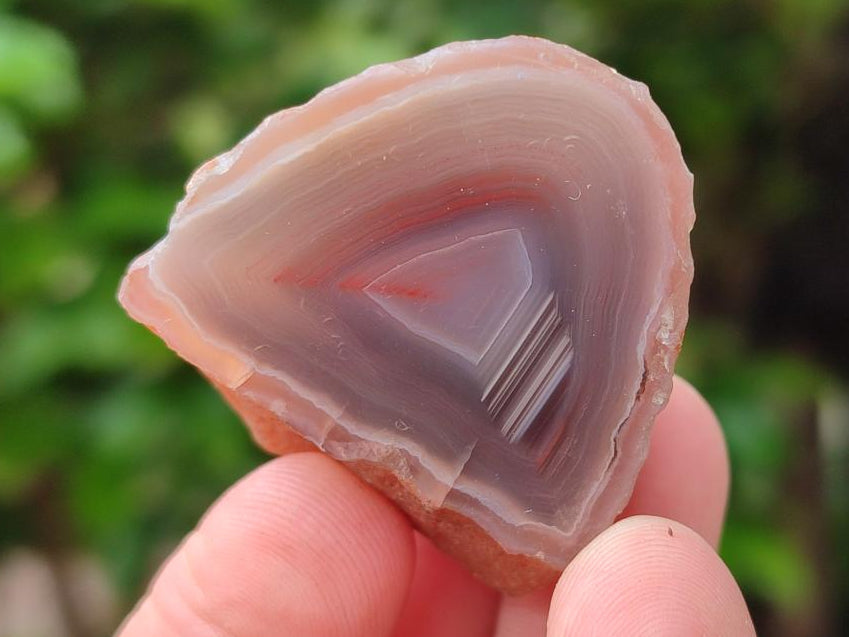 Polished On One Side Red Shashe River Agate Nodules x 48 From Shashe River, Zimbabwe