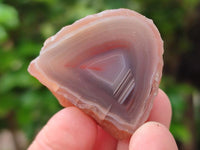 Polished On One Side Red Shashe River Agate Nodules x 48 From Shashe River, Zimbabwe