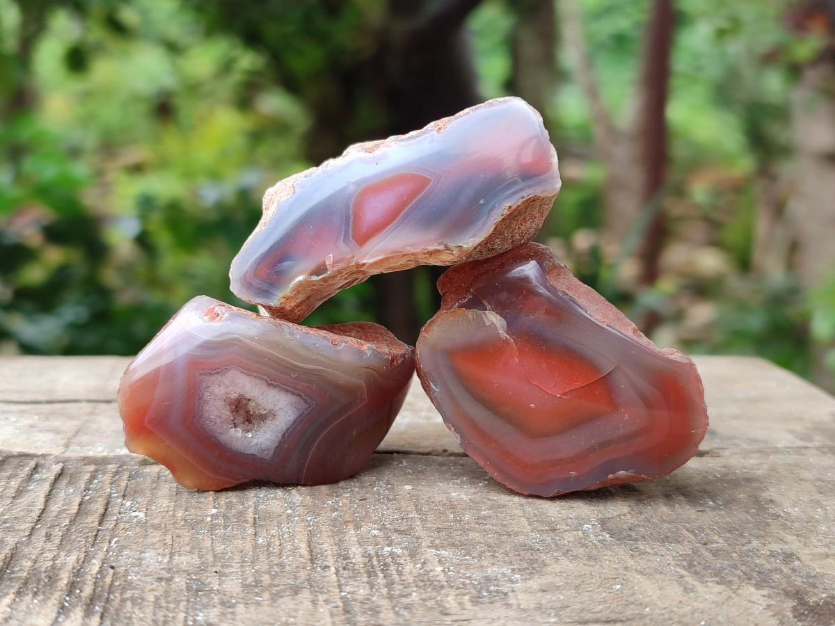 Polished On One Side Red Shashe River Agate Nodules x 48 From Shashe River, Zimbabwe