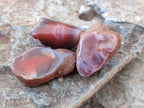 Polished On One Side Red Shashe River Agate Nodules x 48 From Shashe River, Zimbabwe
