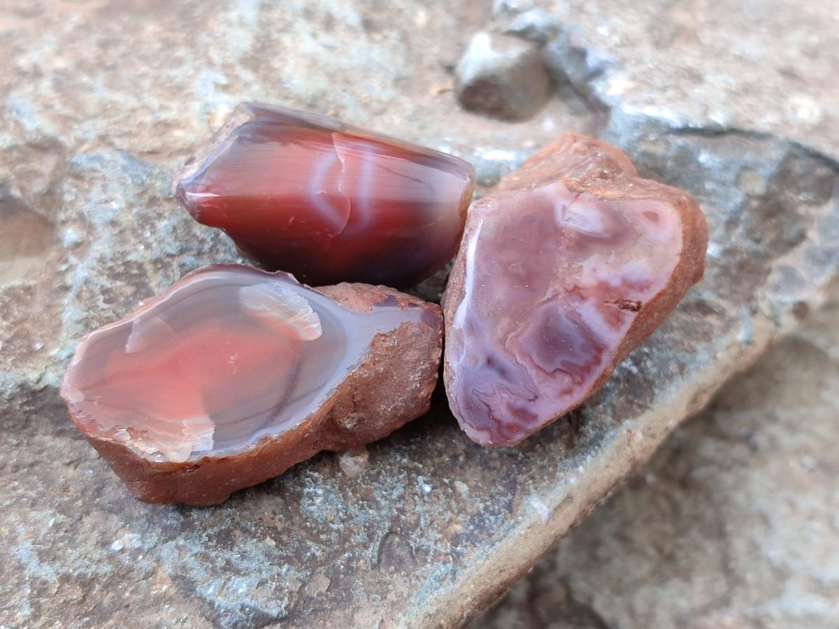 Polished On One Side Red Shashe River Agate Nodules x 48 From Shashe River, Zimbabwe