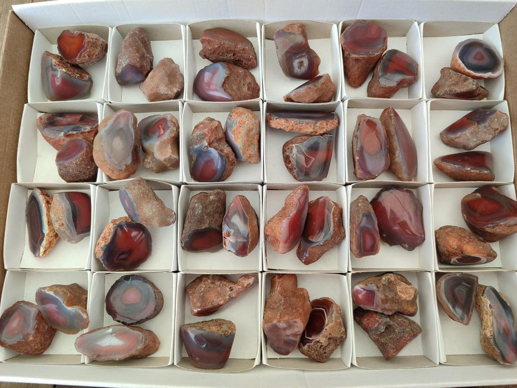 Polished On One Side Red Shashe River Agate Nodules x 48 From Shashe River, Zimbabwe