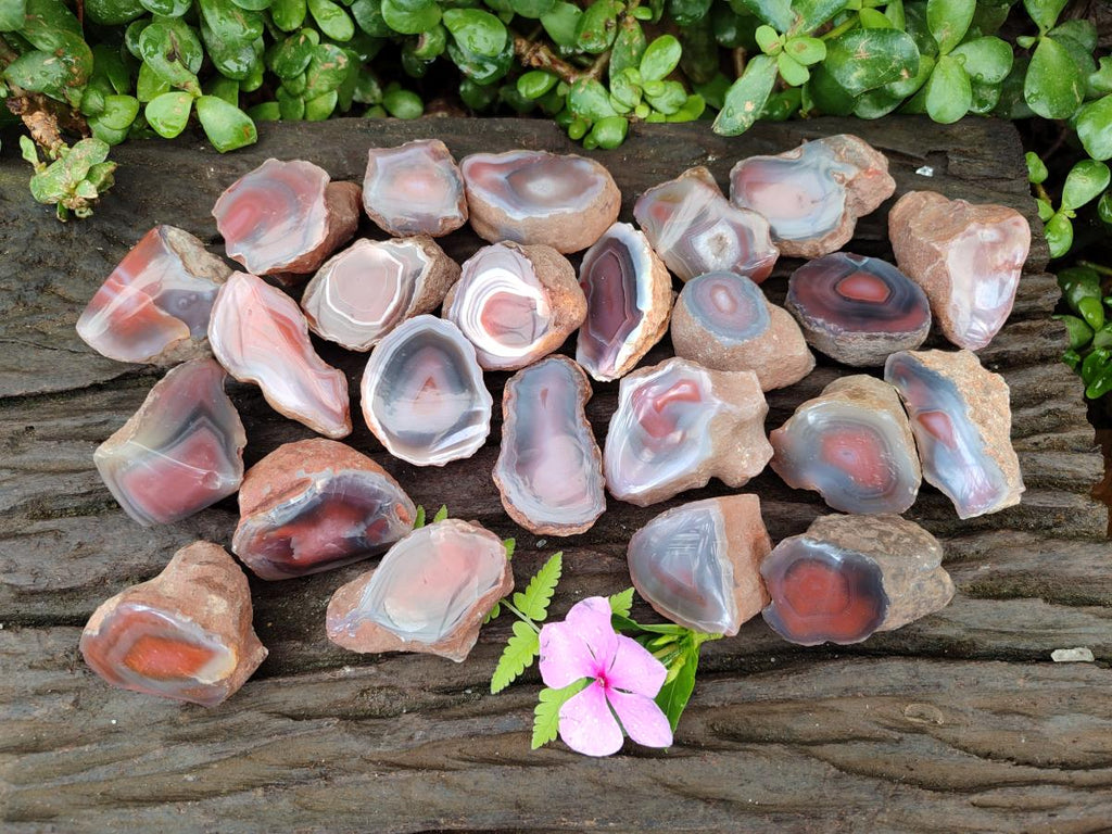 Polished On One Side Red Shashe River Agate Nodules x 48 From Shashe River, Zimbabwe