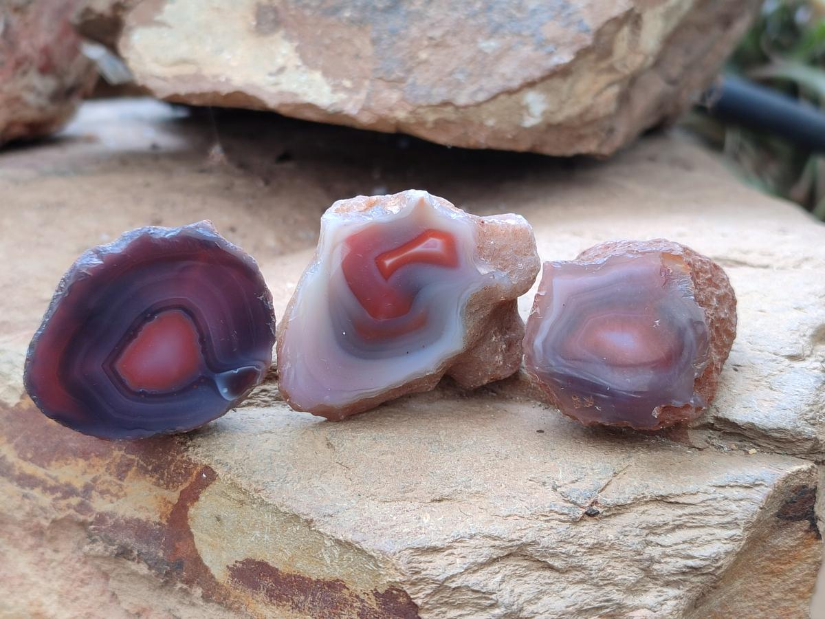 Polished On One Side Red Shashe River Agate Nodules x 48 From Shashe River, Zimbabwe