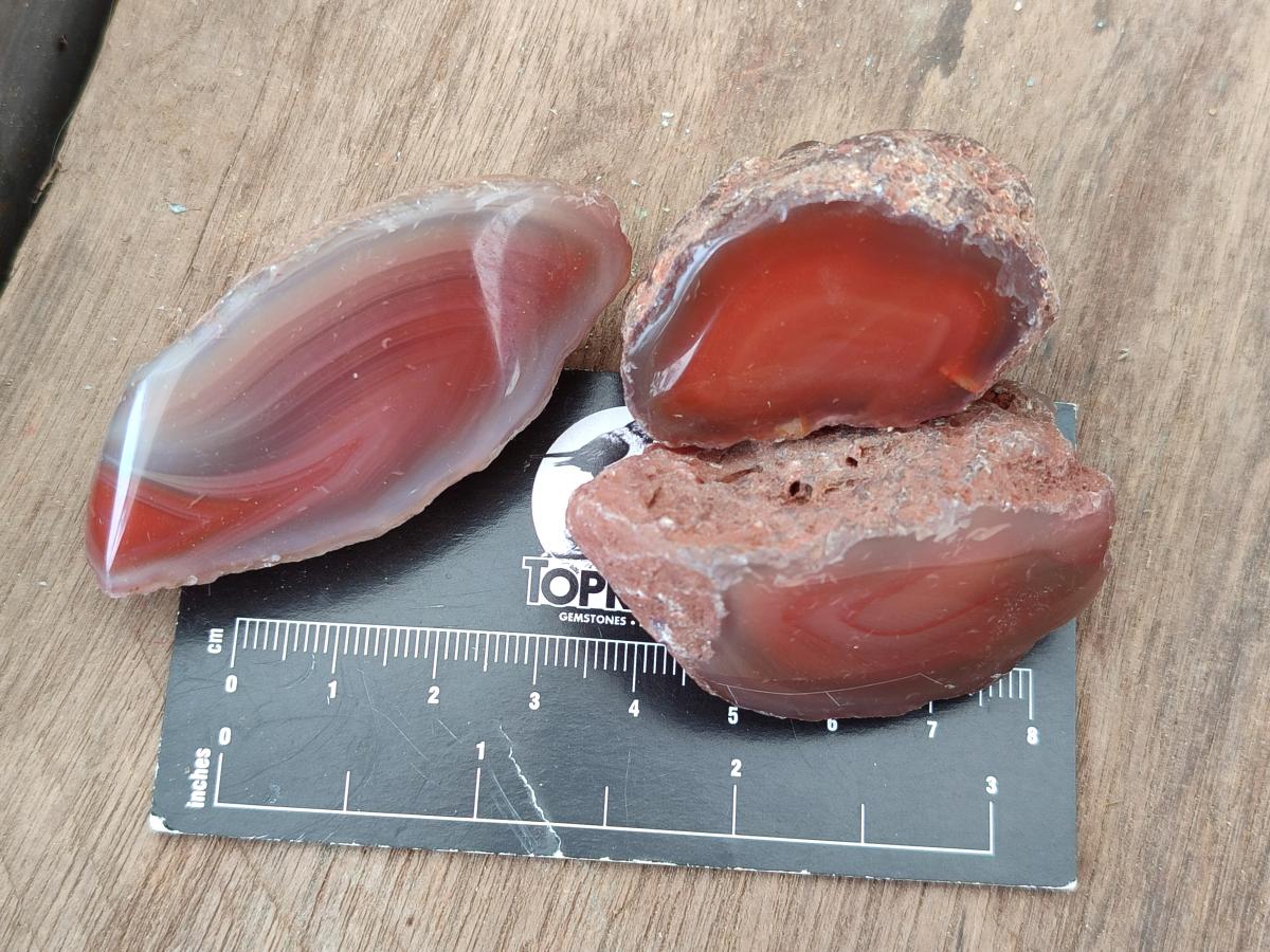 Polished On One Side Red Shashe River Agate Nodules x 48 From Shashe River, Zimbabwe